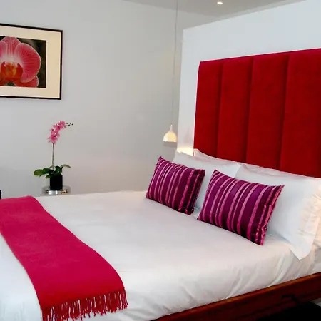 Guest house House
